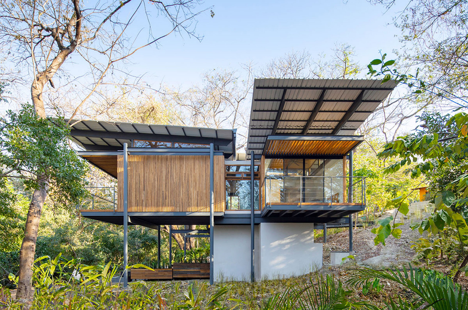 Jungle Frame House by Studio Saxe